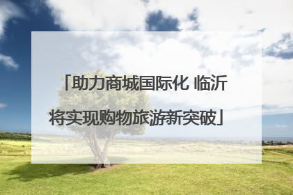 助力商城国际化 临沂将实现购物旅游新突破