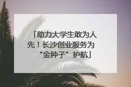 助力大学生敢为人先！长沙创业服务为“金种子”护航