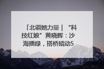 北疆她力量｜“科技红娘”黄晓辉：沙海播绿，搭桥撬动5.3亿研发