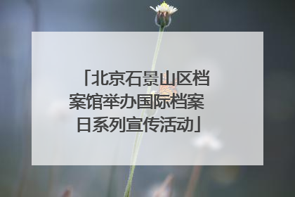 北京石景山区档案馆举办国际档案日系列宣传活动