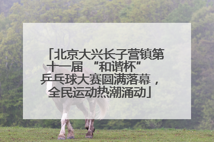 北京大兴长子营镇第十一届 “和谐杯” 乒乓球大赛圆满落幕，全民运动热潮涌动