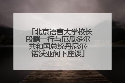 北京语言大学校长段鹏一行与厄瓜多尔共和国总统丹尼尔·诺沃亚阁下座谈