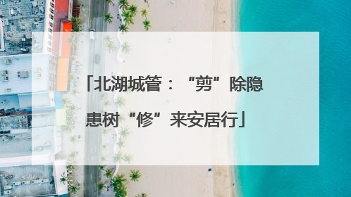 北湖城管：“剪”除隐患树“修”来安居行