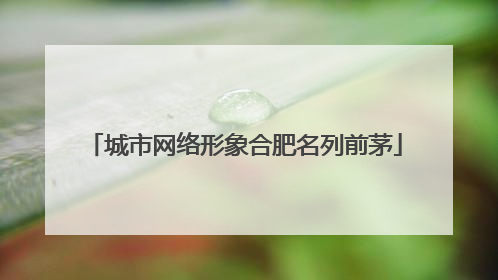 城市网络形象合肥名列前茅