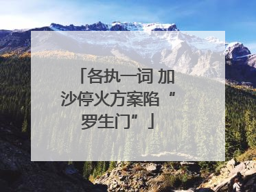 各执一词 加沙停火方案陷“罗生门”