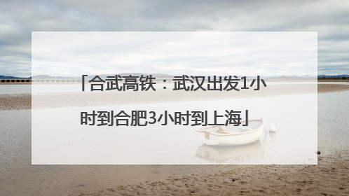 合武高铁：武汉出发1小时到合肥3小时到上海