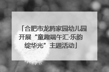 合肥市龙腾家园幼儿园开展“童趣端午汇·乐韵绽华光”主题活动