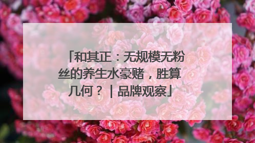 和其正：无规模无粉丝的养生水豪赌，胜算几何？｜品牌观察