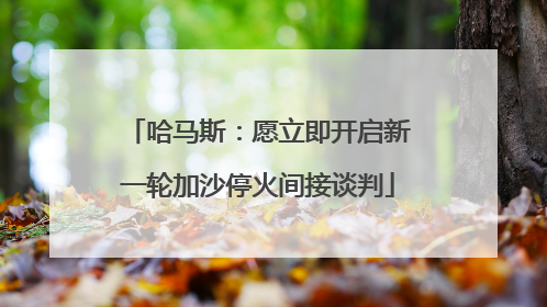 哈马斯：愿立即开启新一轮加沙停火间接谈判