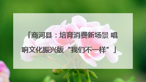 商河县：培育消费新场景 唱响文化振兴版“我们不一样”