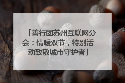 善行团苏州互联网分会：情暖双节，特别活动致敬城市守护者