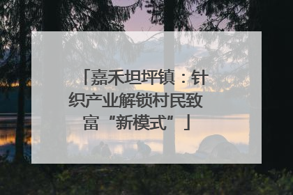 嘉禾坦坪镇：针织产业解锁村民致富“新模式”
