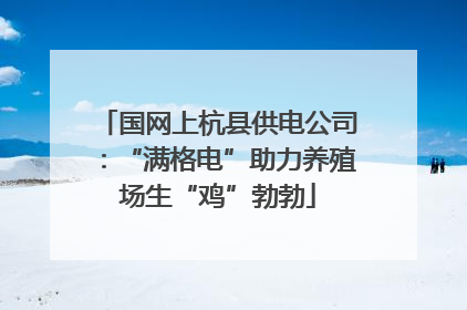 国网上杭县供电公司：“满格电”助力养殖场生“鸡”勃勃