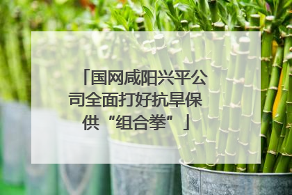 国网咸阳兴平公司全面打好抗旱保供“组合拳”