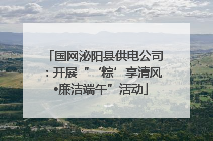 国网泌阳县供电公司：开展“‘粽’享清风 •廉洁端午”活动
