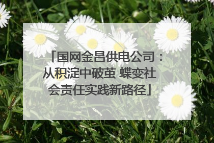 国网金昌供电公司：从积淀中破茧 蝶变社会责任实践新路径