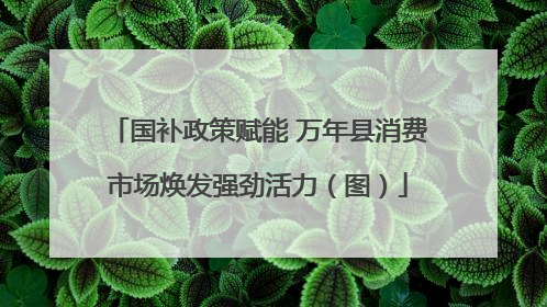 国补政策赋能 万年县消费市场焕发强劲活力（图）