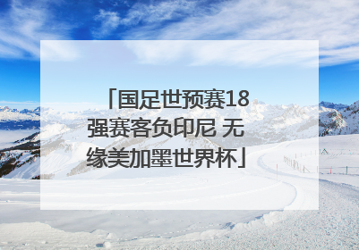国足世预赛18强赛客负印尼 无缘美加墨世界杯