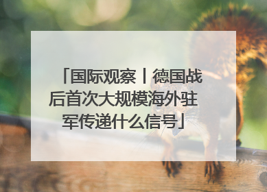 国际观察丨德国战后首次大规模海外驻军传递什么信号