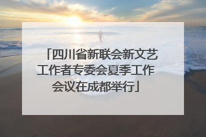 四川省新联会新文艺工作者专委会夏季工作会议在成都举行