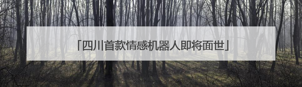 四川首款情感机器人即将面世