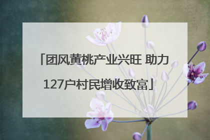 团风黄桃产业兴旺 助力127户村民增收致富