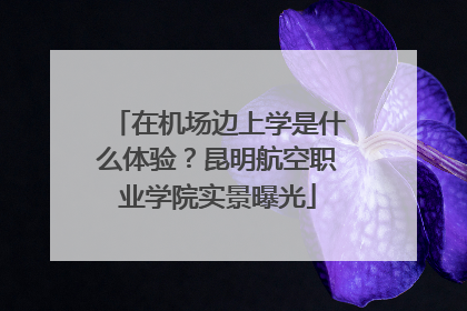 在机场边上学是什么体验？昆明航空职业学院实景曝光