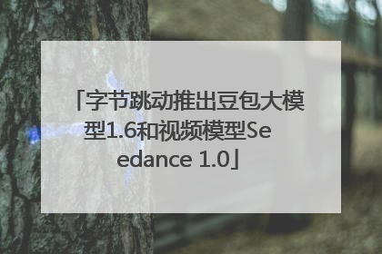 字节跳动推出豆包大模型1.6和视频模型Seedance 1.0
