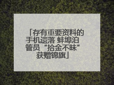 存有重要资料的手机遗落 蚌埠泊管员“拾金不昧”获赠锦旗