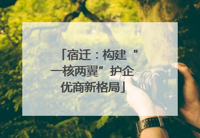 宿迁：构建“一核两翼”护企优商新格局