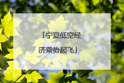 宁夏低空经济乘势起飞