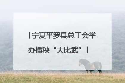 宁夏平罗县总工会举办插秧“大比武”
