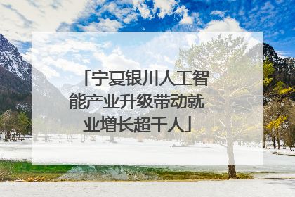 宁夏银川人工智能产业升级带动就业增长超千人