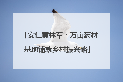 安仁黄林军：万亩药材基地铺就乡村振兴路
