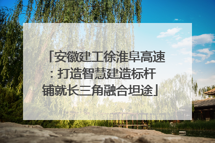 安徽建工徐淮阜高速：打造智慧建造标杆 铺就长三角融合坦途