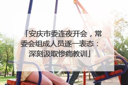 安庆市委连夜开会，常委会组成人员逐一表态：深刻汲取惨痛教训