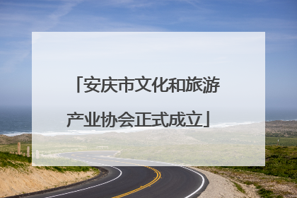 安庆市文化和旅游产业协会正式成立