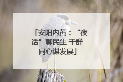 安阳内黄：“夜话”聊民生 干群同心谋发展