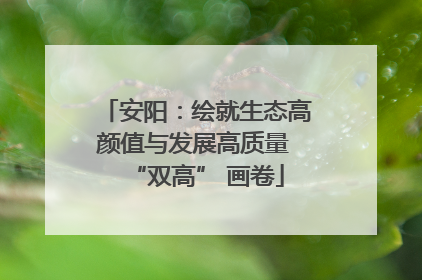 安阳：绘就生态高颜值与发展高质量 “双高” 画卷