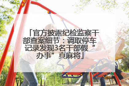 官方披露纪检监察干部查案细节：调取停车记录发现3名干部假“办事”真麻将