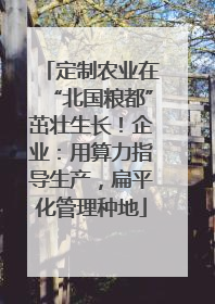 定制农业在“北国粮都”茁壮生长！企业：用算力指导生产，扁平化管理种地