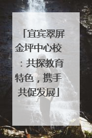 宜宾翠屏金坪中心校：共探教育特色，携手共促发展
