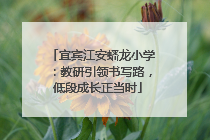 宜宾江安蟠龙小学：教研引领书写路，低段成长正当时