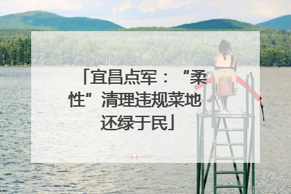 宜昌点军：“柔性”清理违规菜地 还绿于民