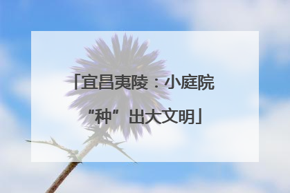 宜昌夷陵：小庭院“种”出大文明