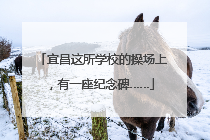 宜昌这所学校的操场上，有一座纪念碑……