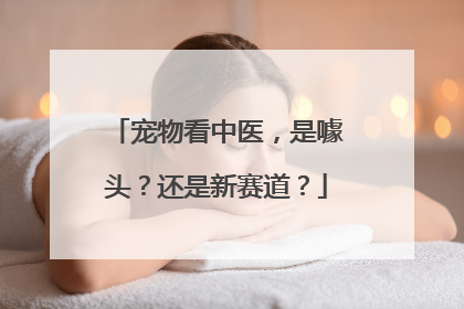 宠物看中医，是噱头？还是新赛道？