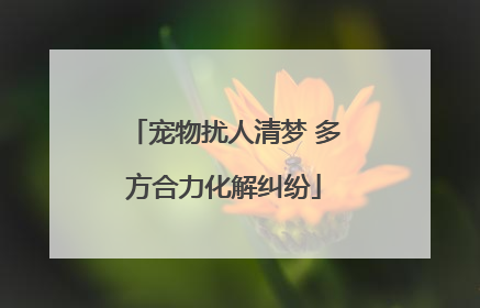 宠物扰人清梦 多方合力化解纠纷