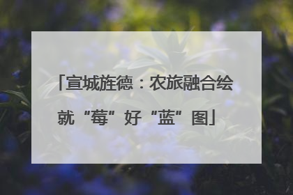 宣城旌德：农旅融合绘就“莓”好“蓝”图