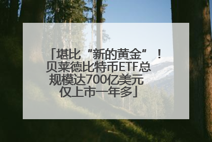 堪比“新的黄金”！贝莱德比特币ETF总规模达700亿美元 仅上市一年多